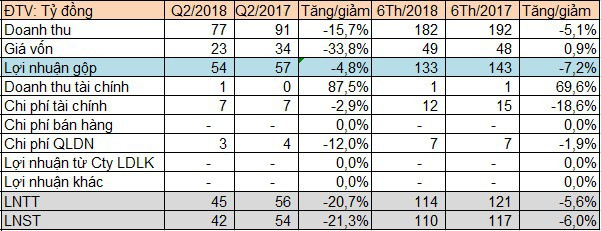 Điện Miền Trung (SEB) lãi 110 tỷ đồng nửa đầu năm, vượt 13% kế hoạch năm - Ảnh 1.