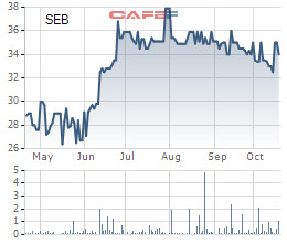 Điện Miền Trung (SEB mẹ): Quý 3 lãi thấp, vỏn vẹn 271 triệu đồng - Ảnh 2.