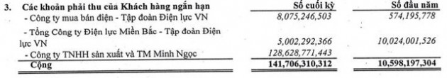 NED báo lãi quý 2 đạt 105 tỷ đồng cao gấp 40 lần cùng kỳ - Ảnh 2.