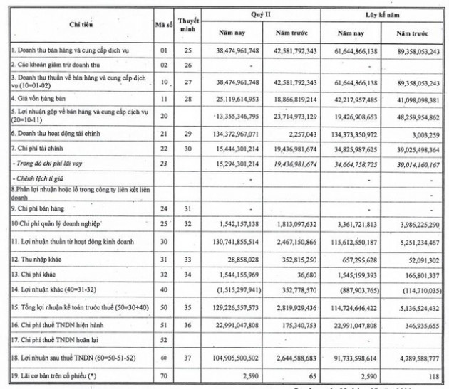 NED báo lãi quý 2 đạt 105 tỷ đồng cao gấp 40 lần cùng kỳ - Ảnh 3.