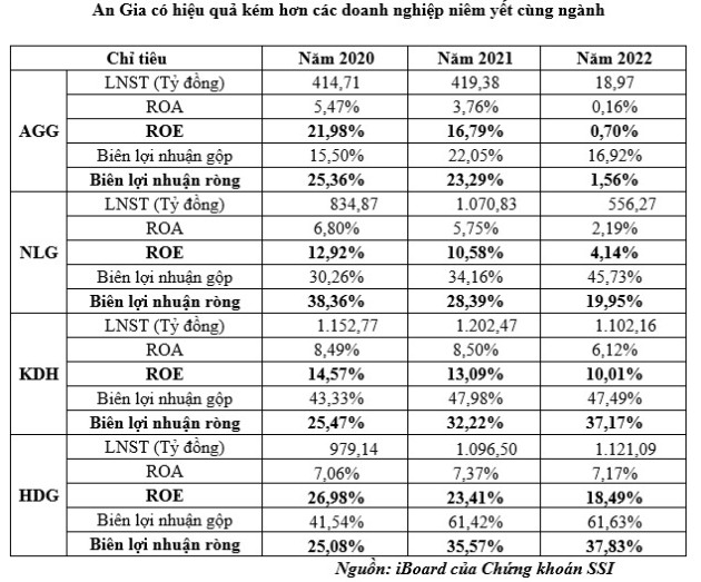 Điều gì đang xảy ra tại An Gia Group? - Ảnh 1.