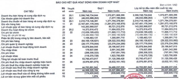 Digiworld (DGW): LNST quý 1 tăng 83% lên 45 tỷ đồng - Ảnh 1.