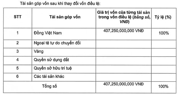 Digiworld tăng vốn cho công ty con gấp gần 3 lần lên hơn 407 tỷ đồng - Ảnh 1.