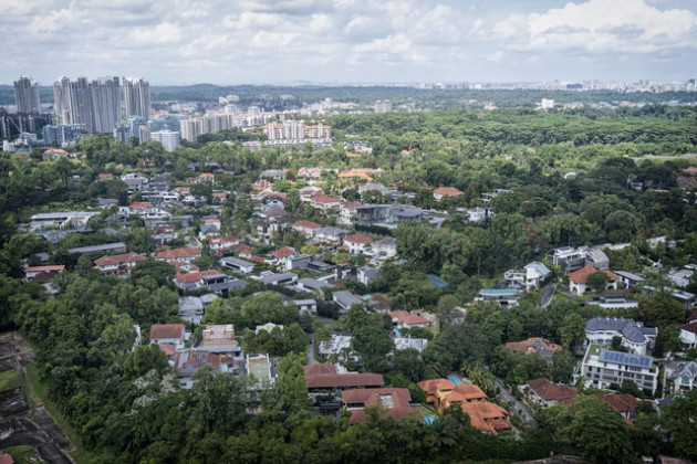 Đỉnh cao bất động sản Singapore: Nhà bê tông cốt thép đã lỗi mốt, giới trẻ vung tiền cho biệt thự làm từ 1 loại vật liệu không ở đâu có - Ảnh 1.