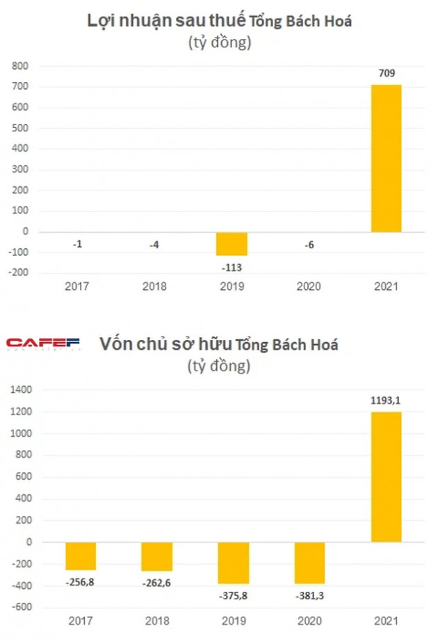 Đình chỉ tư cách kiểm toán viên ký báo cáo kiểm toán cho công ty liên quan đến Tân Hoàng Minh - Ảnh 1.