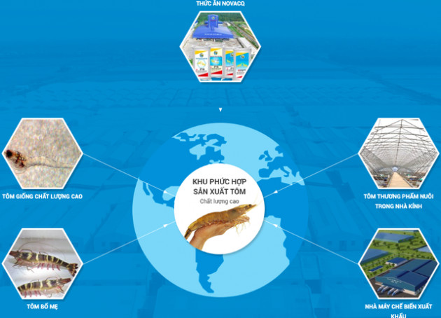 Định giá ngang ngửa với Vĩnh Hoàn và Minh Phú, Công ty tôm giống của Việt kiều Úc dự định IPO năm 2021 - Ảnh 2.