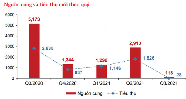 DKRA: Đất nền phía Nam giảm giá cục bộ 5 - 7% trên thị trường thứ cấp - Ảnh 1.