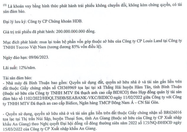 DN vừa công bố mất khả năng trả lãi trái phiếu: Quý 2/2022 lỗ nặng vì trích lập dự phòng, kiểm toán ngoại trừ loạt vấn đề - Ảnh 3.