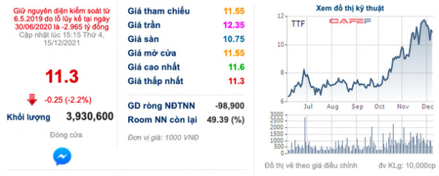 Do điều kiện không thuận lợi, con trai bầu Thắng chỉ mua thêm được 537.000 cổ phiếu TTF - Ảnh 1.