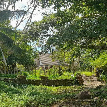 Đổ xô đầu tư farmstay: Sẽ thất bại nếu không nắm rõ những điều này