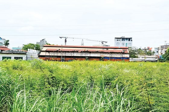 Đoạn đường hơn 1km, 4 khu đất công bỏ hoang - Ảnh 1.