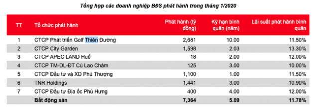 Doanh nghiệp bất động sản tiếp tục dẫn đầu cuộc chơi trái phiếu doanh nghiệp, ngân hàng dè dặt - Ảnh 1.