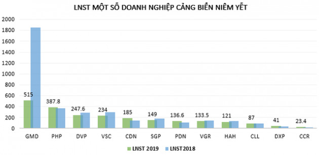 Doanh nghiệp cảng biển đồng loạt lãi vượt kế hoạch 2019 - Ảnh 3.