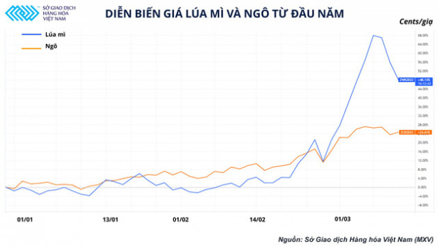 Doanh nghiệp chăn nuôi tiến thoái lưỡng nan vì giá nguyên liệu leo thang