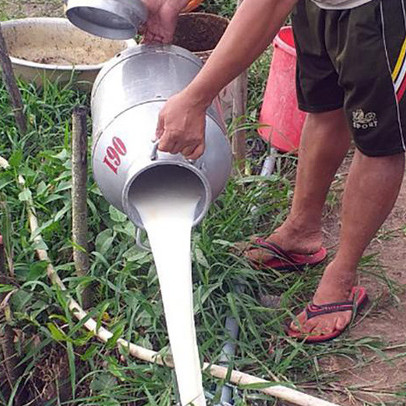 Doanh nghiệp đồ uống, sữa, nước giải khát ‘kêu cứu’ vì không phải hàng thiết yếu