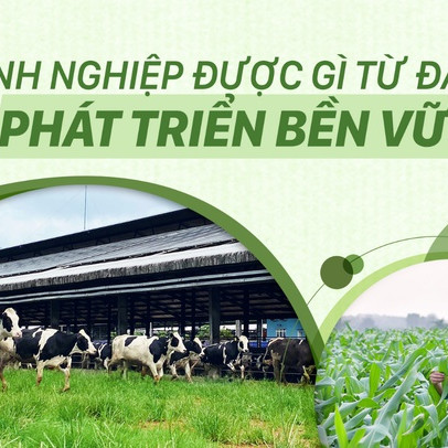 Doanh nghiệp được gì từ đầu tư cho phát triển bền vững?