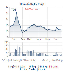 Doanh nghiệp ngành dệt may TDT thông qua phương án phát hành cổ phiếu tăng vốn điều lệ thêm 53% - Ảnh 1.