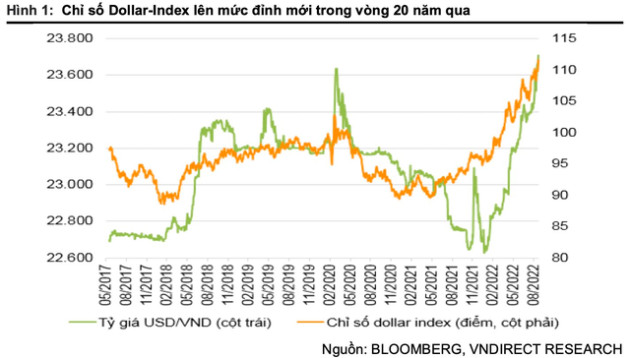 Doanh nghiệp niêm yết trên sàn chứng khoán có nóng hầm hập khi đồng USD liên tục tăng giá? - Ảnh 1.