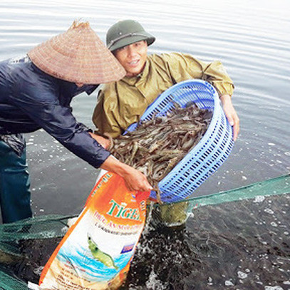 Doanh nghiệp thuỷ sản kiến nghị ngân hàng giảm lãi, giảm phí, nới lỏng điều kiện vay vốn