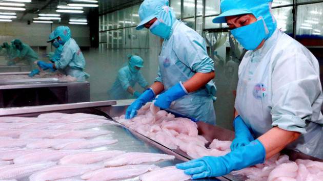 Doanh nghiệp xuất khẩu vào EU cần đăng kí mã số REX trước ngày 30/6/2020 - Ảnh 1.