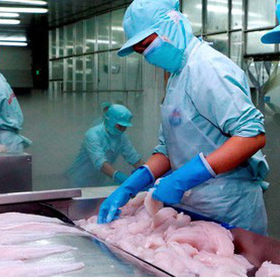 Doanh nghiệp xuất khẩu vào EU cần đăng kí mã số REX trước ngày 30/6/2020