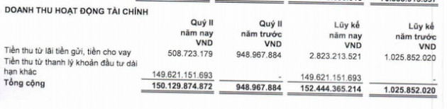 Doanh thu 6 tháng giảm sốc chưa đến ¼ cùng kỳ, LDG vẫn lãi đột biến nhờ thanh lý đầu tư trị giá 150 tỷ đồng - Ảnh 1.