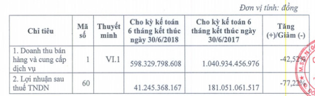 Doanh thu BĐS giảm mạnh, LNST 6 tháng đầu năm 2018 của Tasco giảm 77% so với cùng kỳ - Ảnh 2.