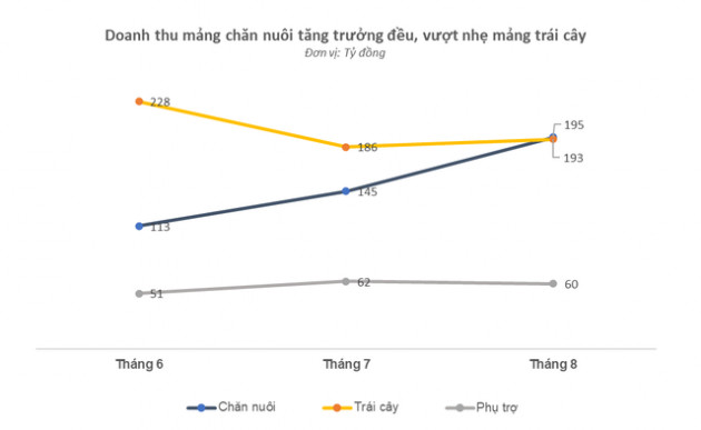 Doanh thu chăn nuôi vượt trái cây trong tháng 8, Hoàng Anh Gia Lai đều đặn duy trì mức lãi 4 tỷ đồng/ngày - Ảnh 1.
