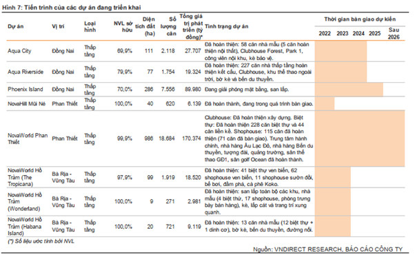 Doanh thu chưa ghi nhận cuối năm 2021 lên đến 7,8 tỷ USD, Novaland sáng cửa năm 2022 - 2024 - Ảnh 1.