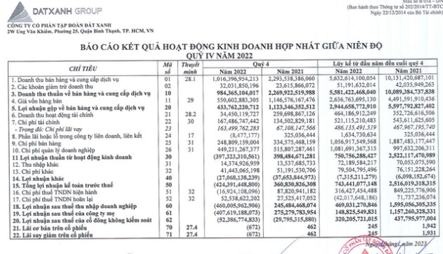 Doanh thu lao dốc, Tập đoàn Đất Xanh (DXG) báo lỗ quý 4/2022 460 tỷ đồng - Ảnh 1.