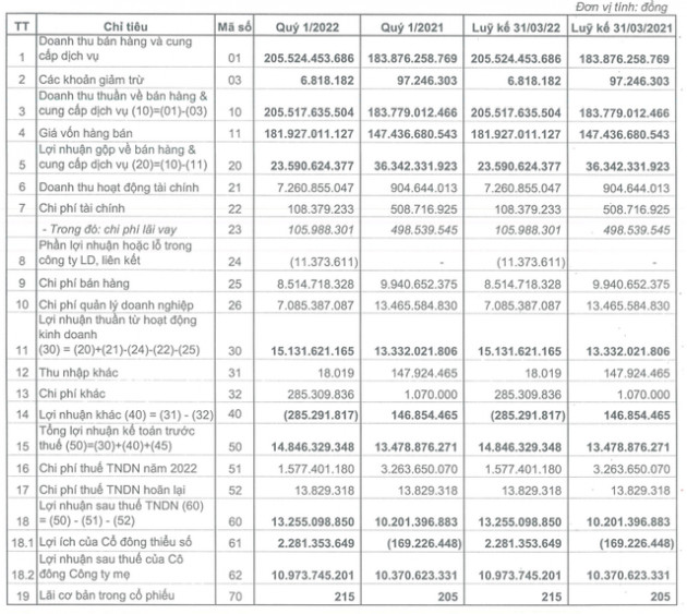 Doanh thu tài chính tăng mạnh, ELCOM (ELC) báo lãi sau thuế quý 1/2022 tăng 30% so với cùng kỳ năm trước - Ảnh 1.