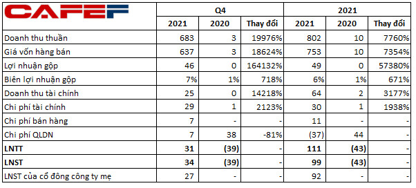 Doanh thu tăng đột biến, Louis Capital (TGG) báo lãi quý 4 hơn 34 tỷ đồng trong khi cùng kỳ lỗ hàng chục tỷ - Ảnh 1.