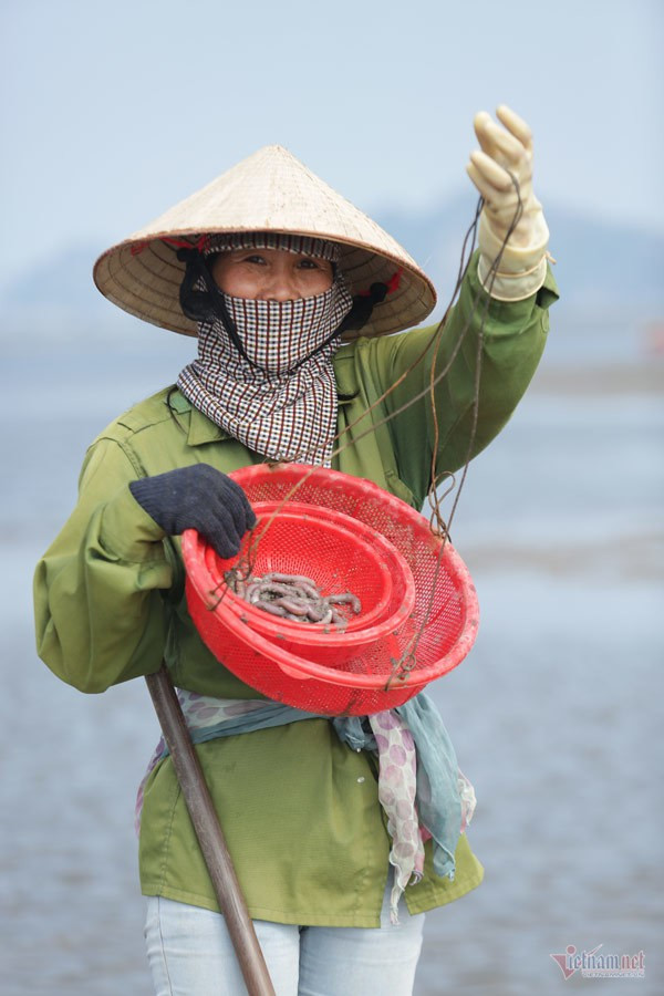 Đội nắng vác mai đi đào vàng biển, mỗi ngày thu tiền triệu - Ảnh 4.