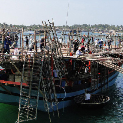 Đợi xin chữ ký, cá tươi thành ươn