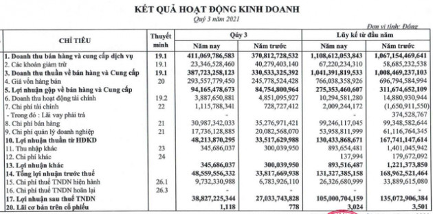 Domesco (DMC): Giá cước tăng đột biến ăn mòn lợi nhuận, 9 tháng giảm 22% lãi còn 105 tỷ đồng - Ảnh 1.