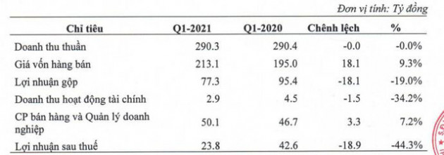 Domesco (DMC): Quý 1 lãi 24 tỷ đồng giảm 44% so với cùng kỳ - Ảnh 1.