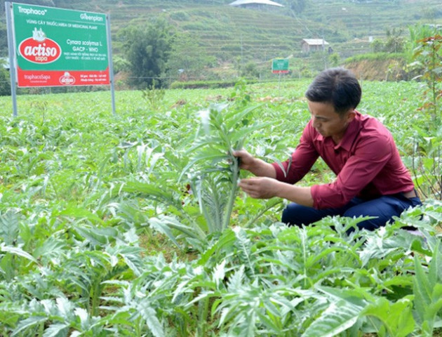 Dồn dập đón sóng đầu tư mới, Bỉm Sơn thành điểm đến hấp dẫn giai đoạn 2022-2025 - Ảnh 1.