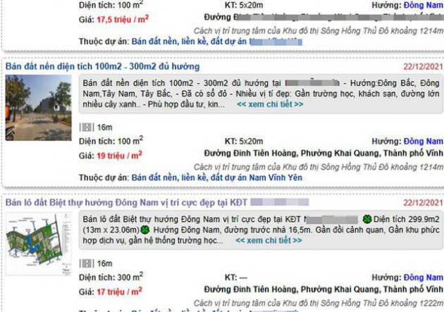  Đồn thổi duyệt quy hoạch, giá đất ven sông Hồng dậy sóng - Ảnh 2.
