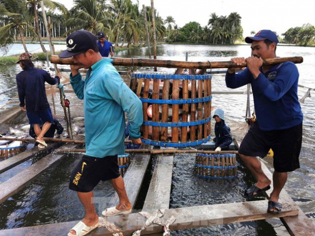 Đồng bằng sông Cửu Long cần tư duy đột phá, thích ứng chủ động - Ảnh 1.