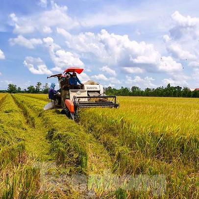 Đồng bằng sông Cửu Long cần tư duy đột phá, thích ứng chủ động