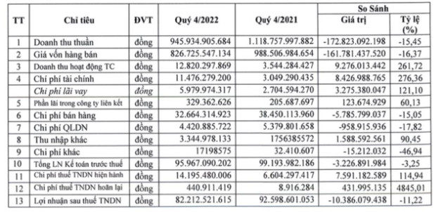 Đông Hải Bến Tre (DHC) báo lãi năm 2022 giảm 21%, chấm dứt chuỗi 4 năm tăng trưởng liên tiếp - Ảnh 1.