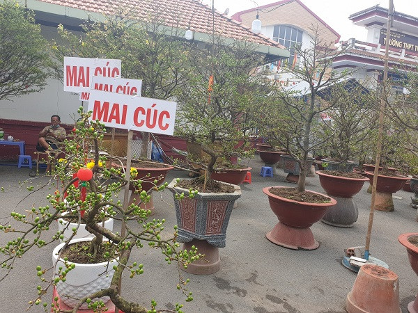 Dòng tiền đang...mỏi - Ảnh 2.