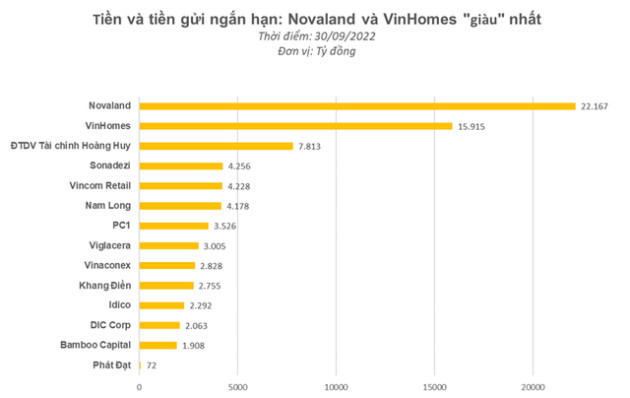 Dòng tiền khó khăn, các ông lớn BĐS Novaland, VinHomes, Khang Điền, Phát Đạt... tích trữ tiền mặt như thế nào? - Ảnh 1.