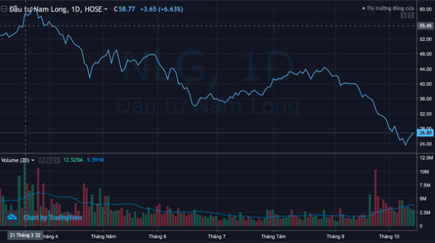 Dragon Capital bán STB, mua thêm NLG - Ảnh 4.