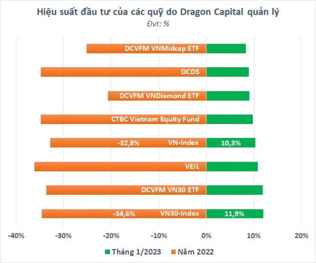 Dragon Capital đang đầu tư ra sao trên thị trường chứng khoán Việt Nam? - Ảnh 2.