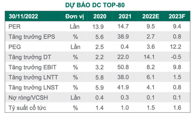 Dragon Capital: Đỉnh điểm của sự bi quan đã qua đi, TTCK Việt Nam tăng trở lại trên nền định giá thấp - Ảnh 1.