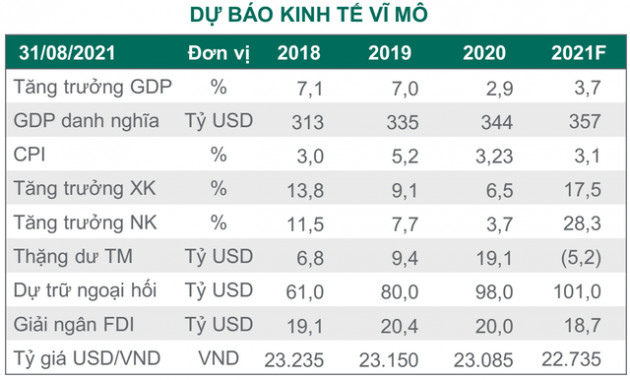 Dragon Capital: “Dư nợ margin trở lại đỉnh lịch sử, cổ phiếu trụ sẽ hút tiền khi tiêm chủng được đẩy nhanh và nới lỏng giãn cách” - Ảnh 2.