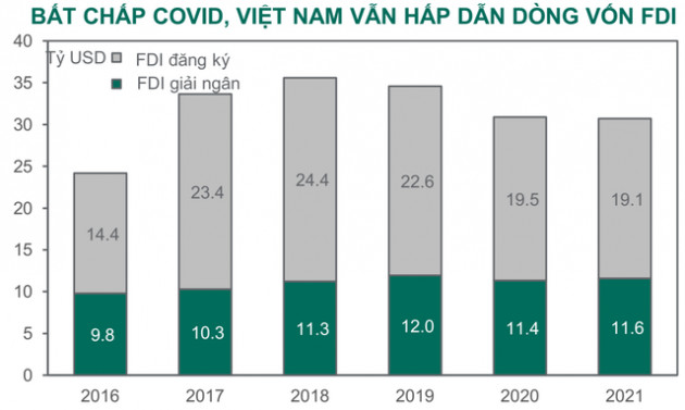 Dragon Capital: “Dư nợ margin trở lại đỉnh lịch sử, cổ phiếu trụ sẽ hút tiền khi tiêm chủng được đẩy nhanh và nới lỏng giãn cách” - Ảnh 3.