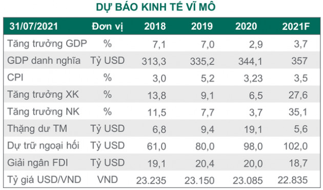 Dragon Capital hạ dự báo tăng trưởng kinh tế năm 2021, cho rằng tất cả tin xấu sẽ được phản ánh trong quý 3 - Ảnh 2.