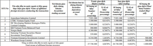 Dragon Capital trở thành cổ đông lớn của KBC - Ảnh 1.